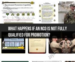 Promotion of Non-Commissioned Officers: Qualification Requirements