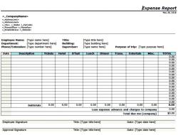 Purpose of an Expense Report: Financial Documentation Importance