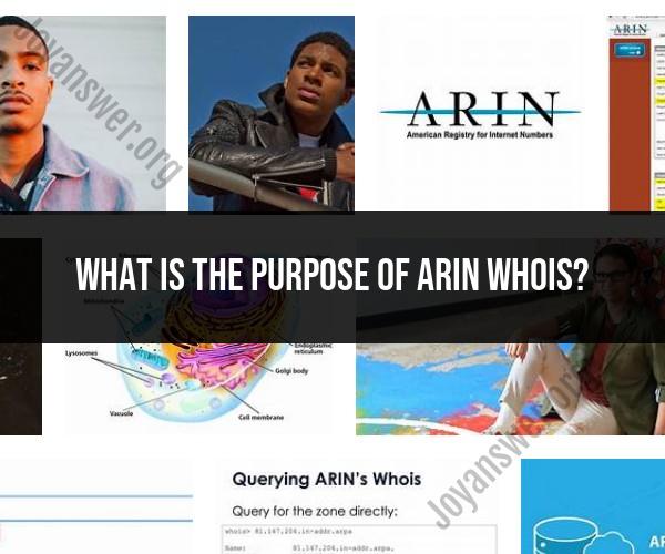 Purpose of ARIN WHOIS