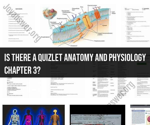 Quizlet Anatomy and Physiology Chapter 3: Study Resources