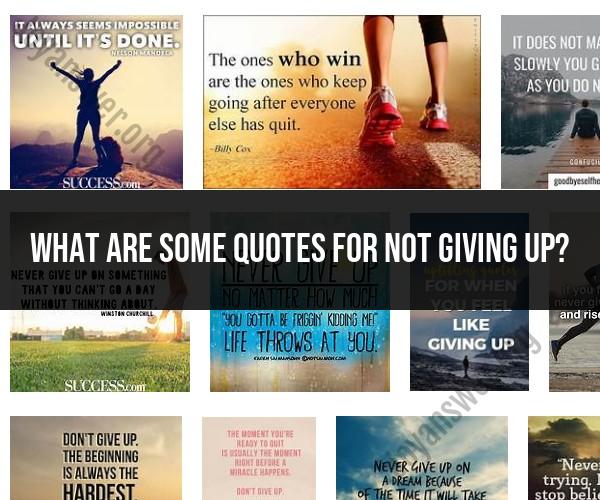 Quotes to Inspire Persistence and Resilience