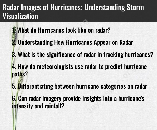 Radar Images of Hurricanes: Understanding Storm Visualization