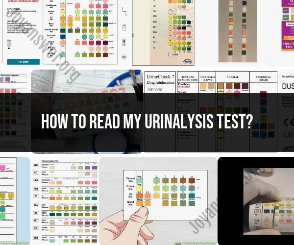 Reading Your Urinalysis Test: Interpretation Guidelines