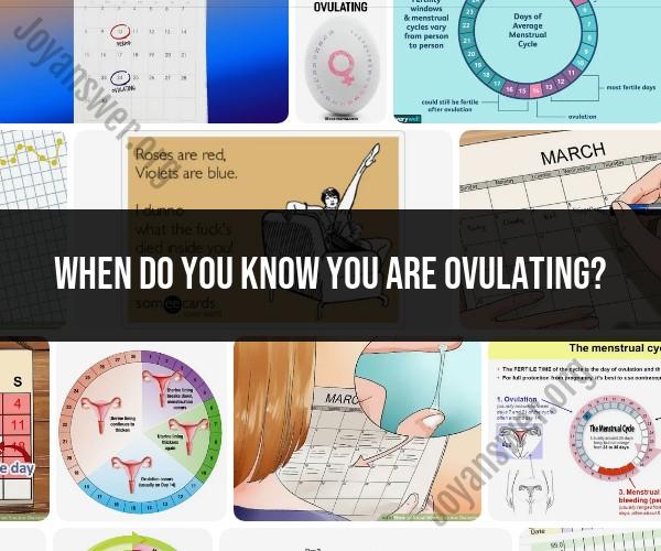 Recognizing Ovulation: Signs and Symptoms