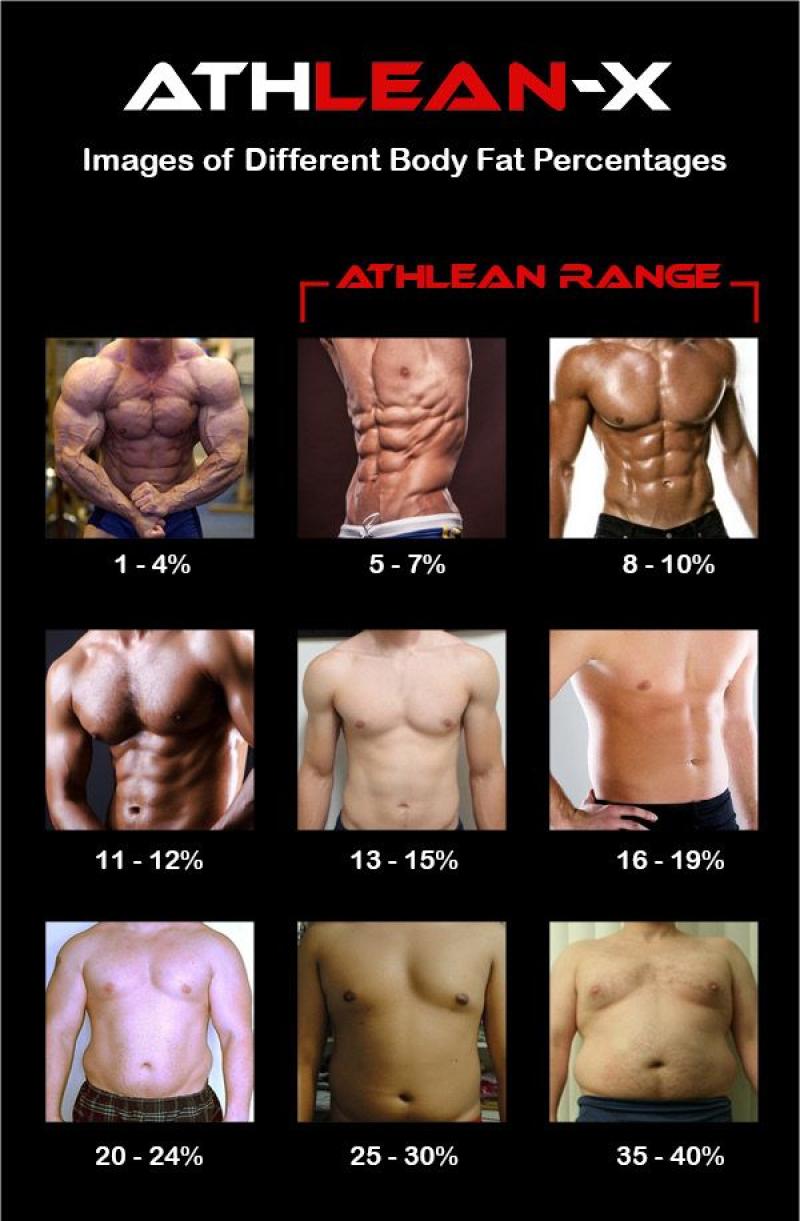 Recommended Body Fat Percentage: Health Guidelines