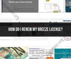 Renewing Your Breeze License in California: Guidelines and Steps