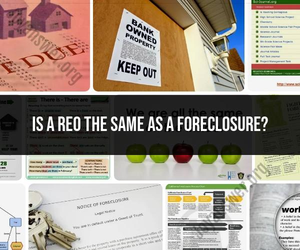 REO vs. Foreclosure: Understanding the Differences
