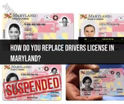 Replacing a Driver's License in Maryland: Step-by-Step Guide