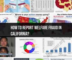 Reporting Welfare Fraud in California: Steps and Procedures