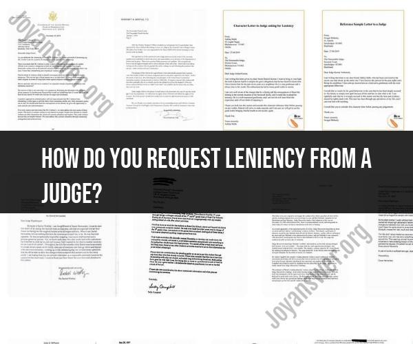 Requesting Leniency from a Judge: Tips and Guidelines