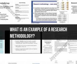 Research Methodology Example: Approaches to Inquiry