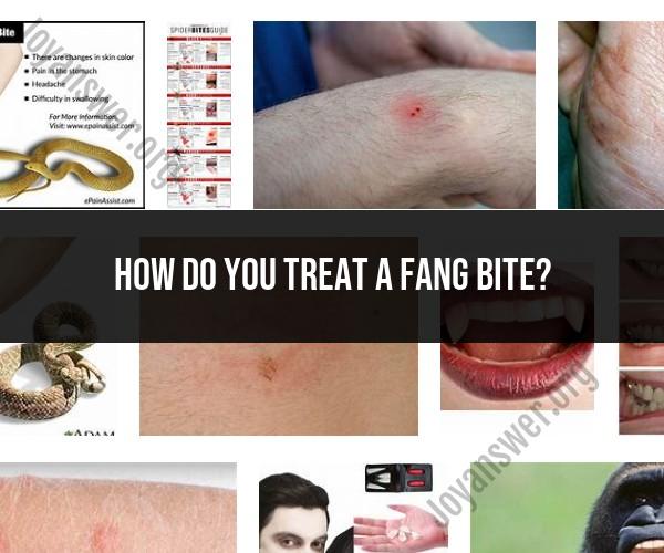 Responding to Fang Bites: Immediate Treatment Measures