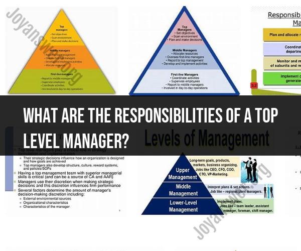 Responsibilities of a Top-Level Manager: Role Overview