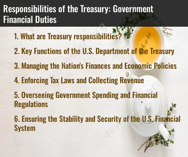 Responsibilities of the Treasury: Government Financial Duties