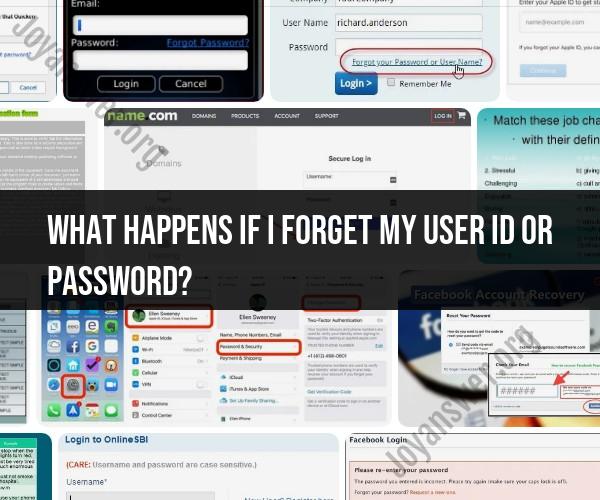 Retrieving Lost Credentials: Steps to Recover User ID or Password