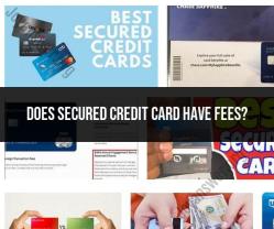 Secured Credit Card Fees: What You Should Know - Finance