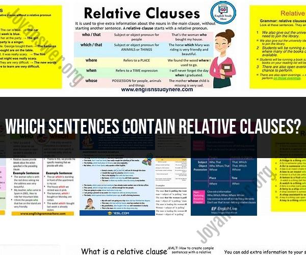 Sentences Enriched with Relative Clauses: Examples and Usage