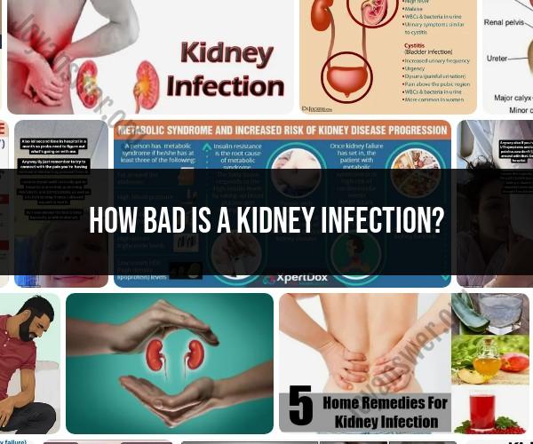 Severity of Kidney Infections: Understanding the Impact