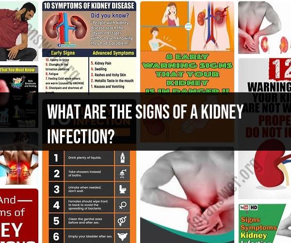 Signs of a Kidney Infection: Recognizing Symptoms