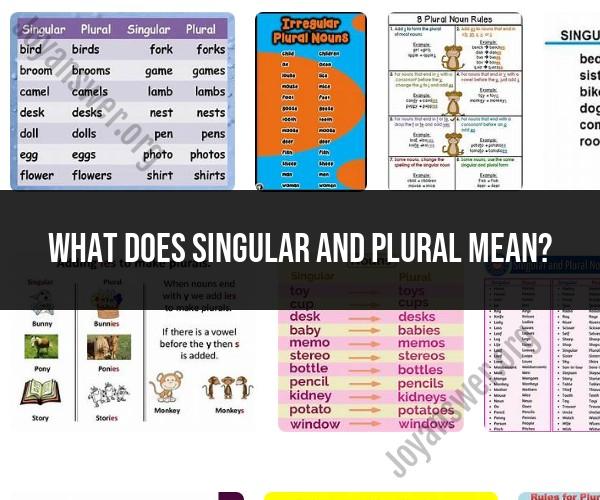 Singular and Plural Forms in Grammar: Explanation