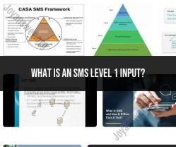 SMS Level 1 Input: Understanding SMS Communication