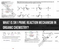 SN1 Prime Reaction Mechanism in Organic Chemistry