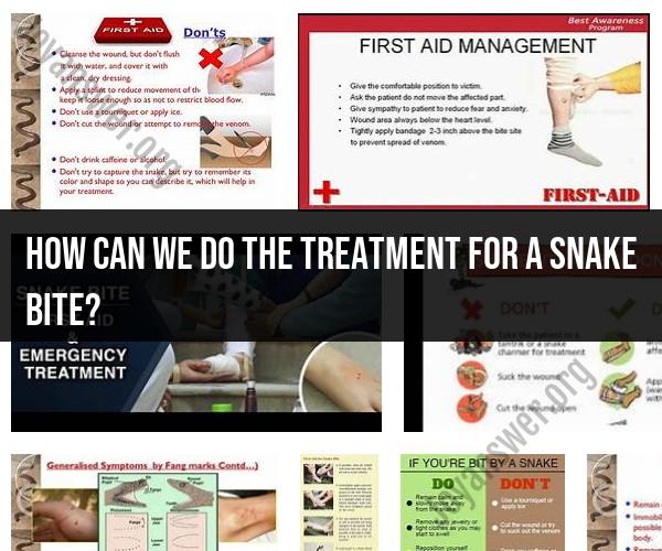 Snake Bite Treatment: Immediate Steps to Take