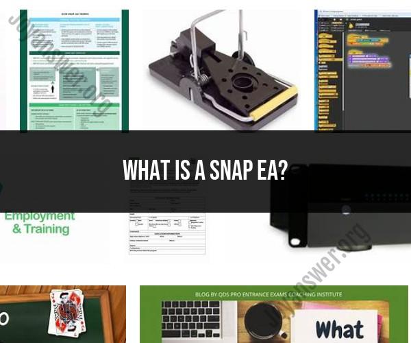 Snap EA: Deciphering the Meaning and Usage