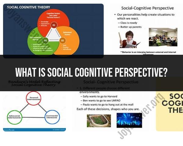 Social Cognitive Perspective: Understanding Human Behavior