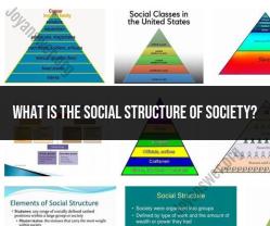 Social Structure of Society: Understanding Human Relationships