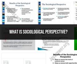Sociological Perspective: Viewing Society Through a Lens