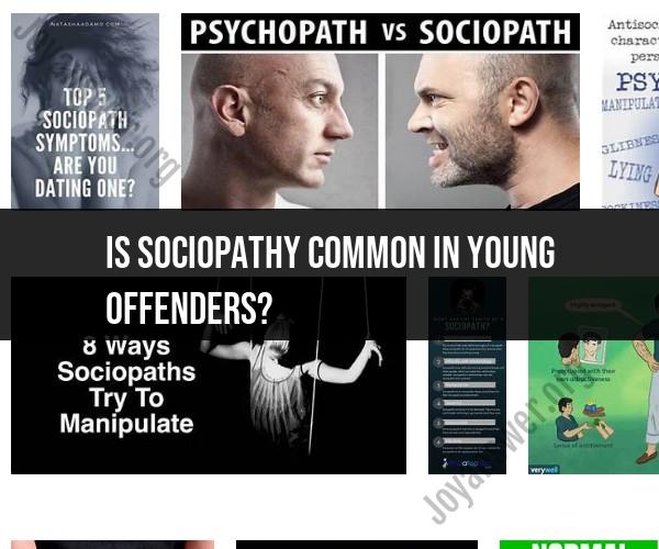 Sociopathy Among Young Offenders: Prevalence and Implications