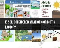 Soil as a Factor: Is it Abiotic or Biotic?