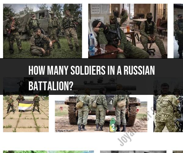 Soldiers in a Russian Battalion: Unit Composition