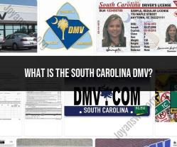 South Carolina Department of Motor Vehicles: Overview and Services