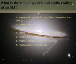 Speech and Audio Coding in SLI: Enhancing Communication