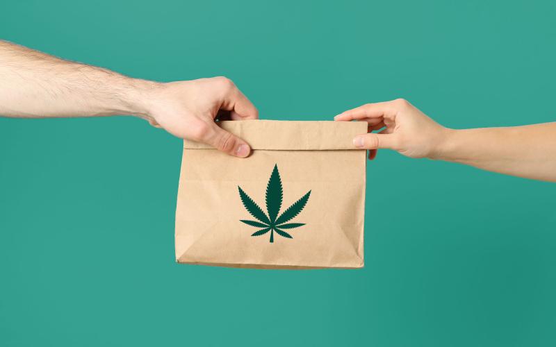 Starting a Cannabis Dispensary Business: Business Launching Guide