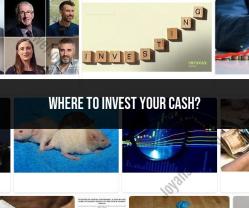 Strategic Cash Allocation: Investing Your Surplus Funds