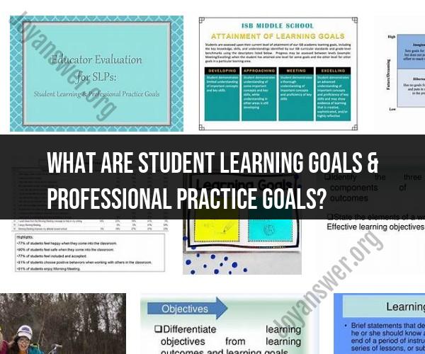 Striving for Excellence: Student Learning Goals and Professional Practice Goals