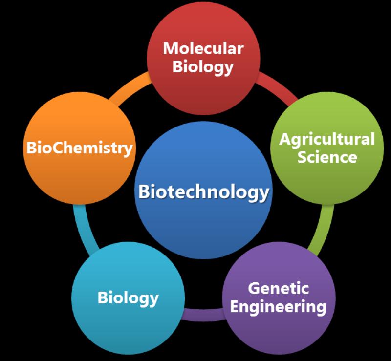 Studying Biotechnology: Academic Focus