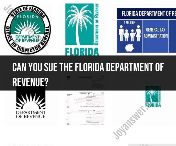 Suing the Florida Department of Revenue: Legal Considerations