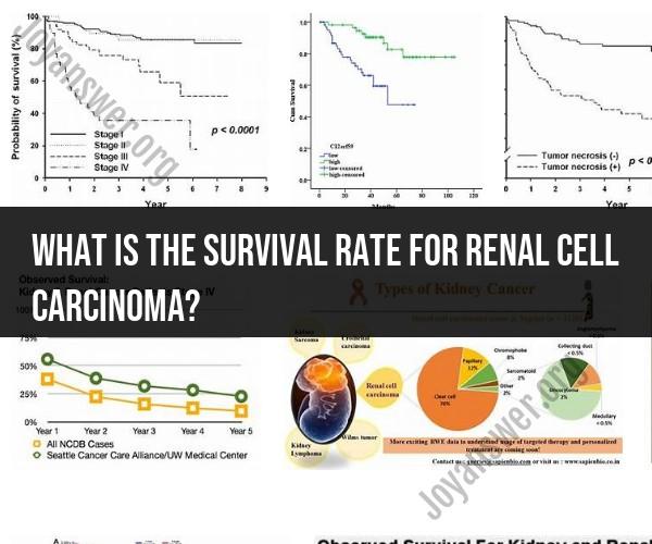 Survival Rate for Renal Cell Carcinoma: Cancer Prognosis