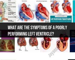 Symptoms of a Poorly Performing Left Ventricle: Cardiac Health Indicators