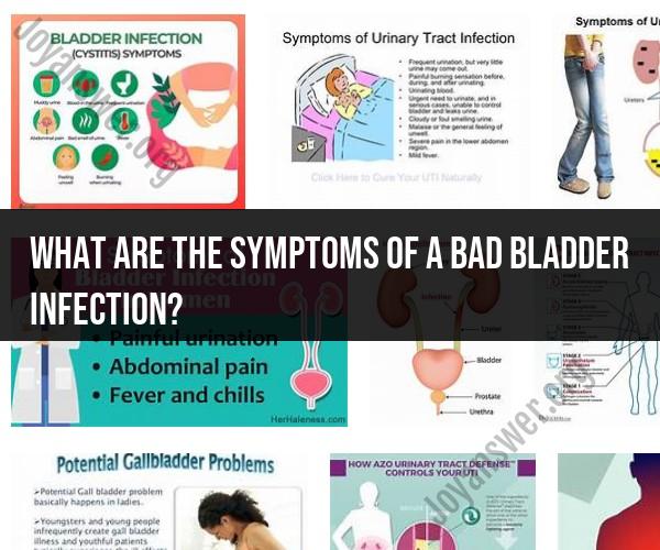Symptoms of a Severe Bladder Infection: Warning Signs