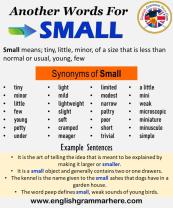 Synonyms for "Examples": Alternatives in Expression