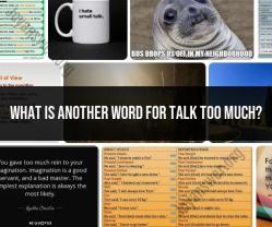 Synonyms for "Talk Too Much": Expressing Excessive Verbalization