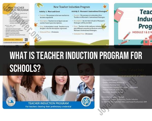 Teacher Induction Program in Schools: New Educator Support