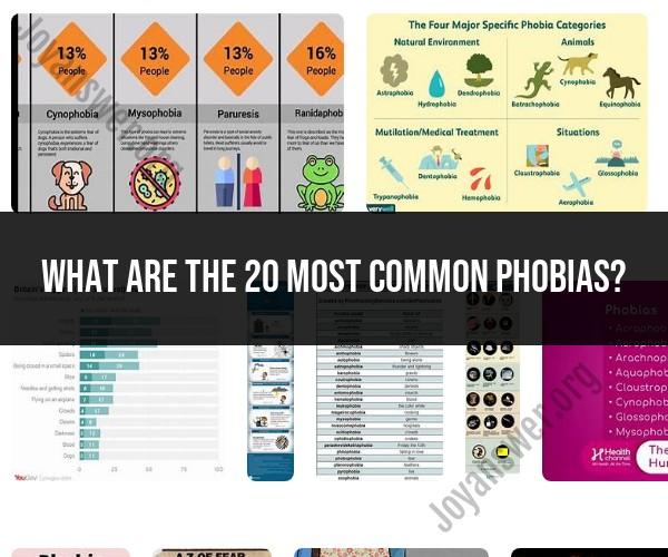 The 20 Most Common Phobias: A Comprehensive List