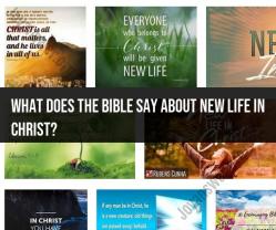 The Bible on New Life in Christ: Verses and Teachings