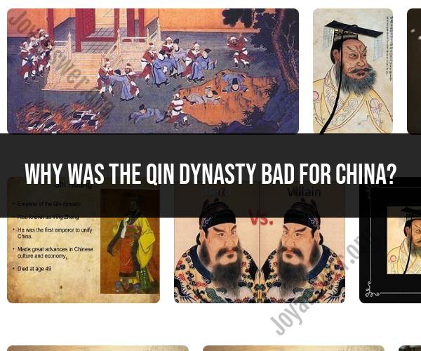 The Drawbacks of the Qin Dynasty for China